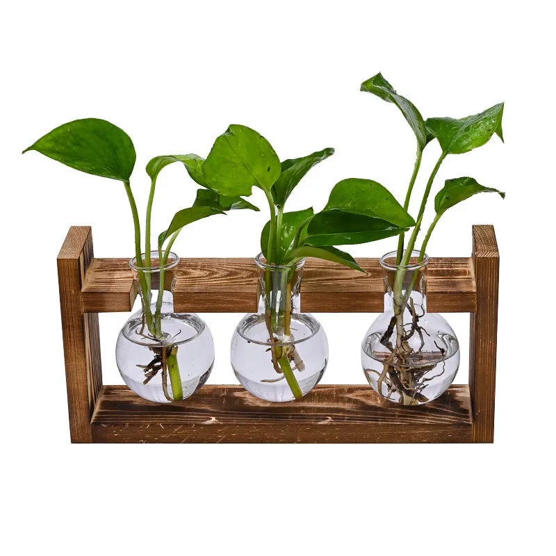 Macetero de Vidrio para Mesa, Estación de Propagación Hidropónica, Florero con Bandeja de Madera, Contenedor para Plantas, Decoración para Hogar y Oficina