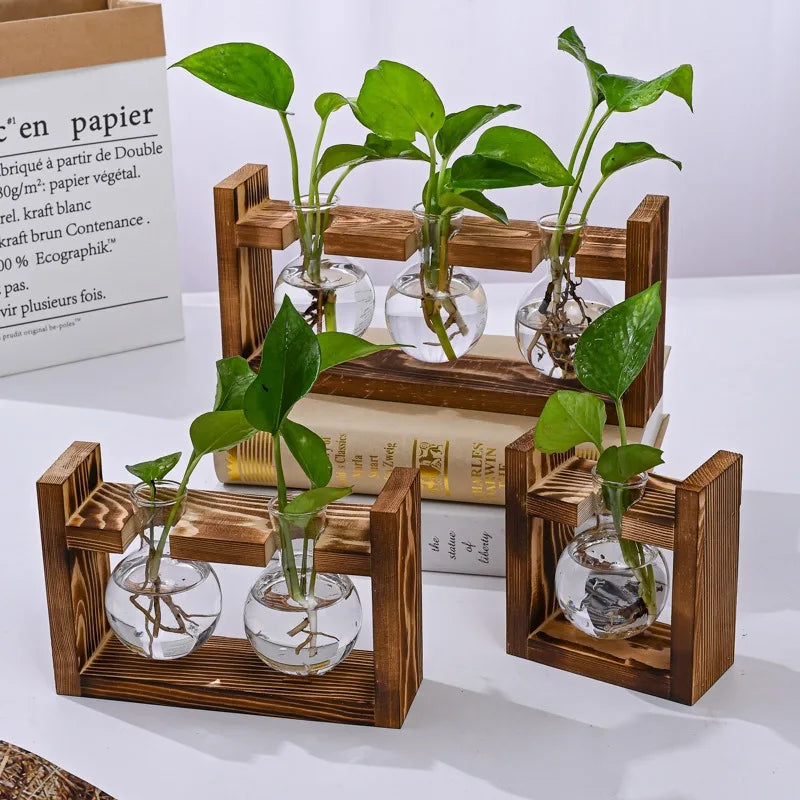Macetero de Vidrio para Mesa, Estación de Propagación Hidropónica, Florero con Bandeja de Madera, Contenedor para Plantas, Decoración para Hogar y Oficina